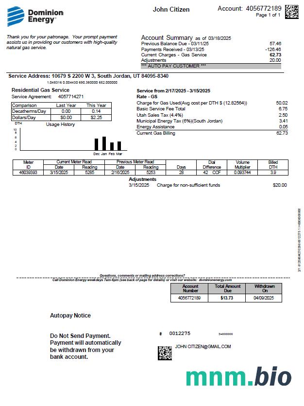 Szablon rachunku za media energetyczne USA Dominion w formatach Word i PDF, Wersja 3